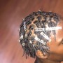 Starter locs (small)