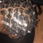 Starter locs (small)