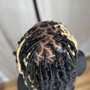 Root Touch Up