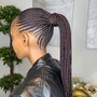 Box Braids