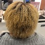 Extension Coloring (Bleaching w/ Toner)