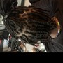 Loc Maintenance, Loc Style, Loc Re-twist