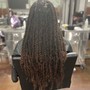 Starter Locs ( Short Afro )