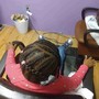 Scalp Treatment