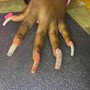 Kids Manicure/Polish