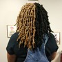 Starter Dreadlocks