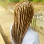 Senegalese Twist- Jumbo