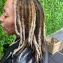 Tips of Locs Haircolor