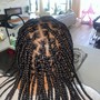 Box Braids (small senagalese twist)