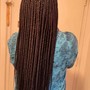 2-4 Feed-In Braids