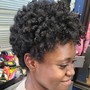 Updo natural hair