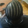 Comb, two strand Twist