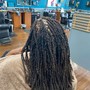 Two strand  Twist