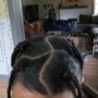 Individual Braids (just the top)