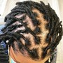 Loc Maintenance Retwist (long) upcharge