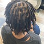 Starter Locs