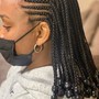 Cornrows/feed-ins  (French Braids)