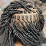 Starter Locs