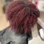 Loc Single Process Color