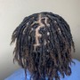 Starter locs