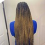 Custom Ombre(braids)