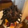 Start off Locs