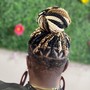 2 strand twist