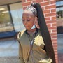 Braided Sleek ponytail W/Hair INC.