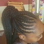 Crochet Braids (Hair Included)