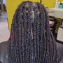 **Large Box Braids**