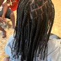 Individual Braids