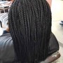 Comb Twist