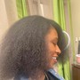 Basic Shampoo and Style on natural hair