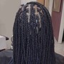 **Large Knotless Box Braids**