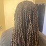 Partial Highlights - Locs