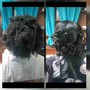 Finger Waves (short relaxed hair only)