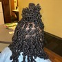 Fulani Crochet Braids