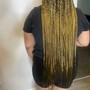 Jumbo Lemonade Braids mid back