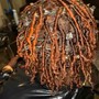 Starter Locs