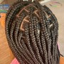 Locs/ Retwist