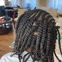 Locs/ Retwist