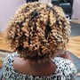 Trim Tutorial, Root Touch Up Lesson, Neck Trim Lesson, Blowout Lesson, Shampoo Lesson, Color Lesson, Haircut Lesson, Women's Cut Lesson, Nails Lesson, Barrel Curls Lesson, Styling Lesson, Eyebrow Shaping Lesson, Trim Lesson