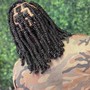 passion Twists (price is for mid-back length. It’s $230 for waist length)