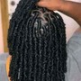 passion Twists (price is for mid-back length. It’s $230 for waist length)