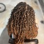 Starter Locs