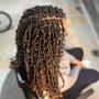 Starter Locs