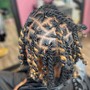 Retwist and Style