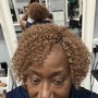 Root Touch Up