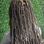 Short/Midback Butterfly Locs