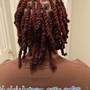 Medium Plat Starter Locs Ear lobe length